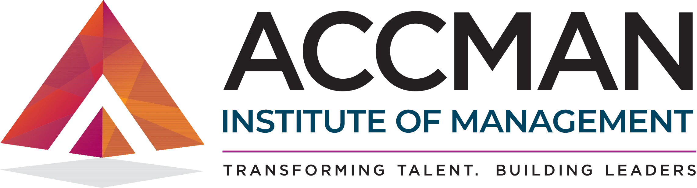 ACCMAN Institute of Management Logo