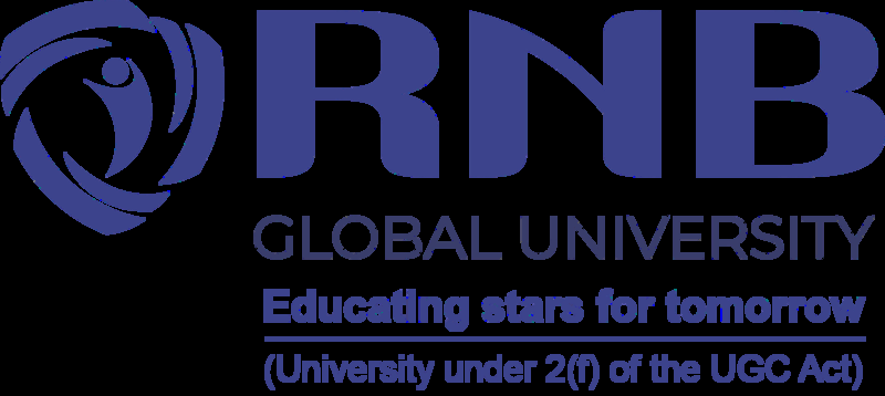 RNB Global University Logo